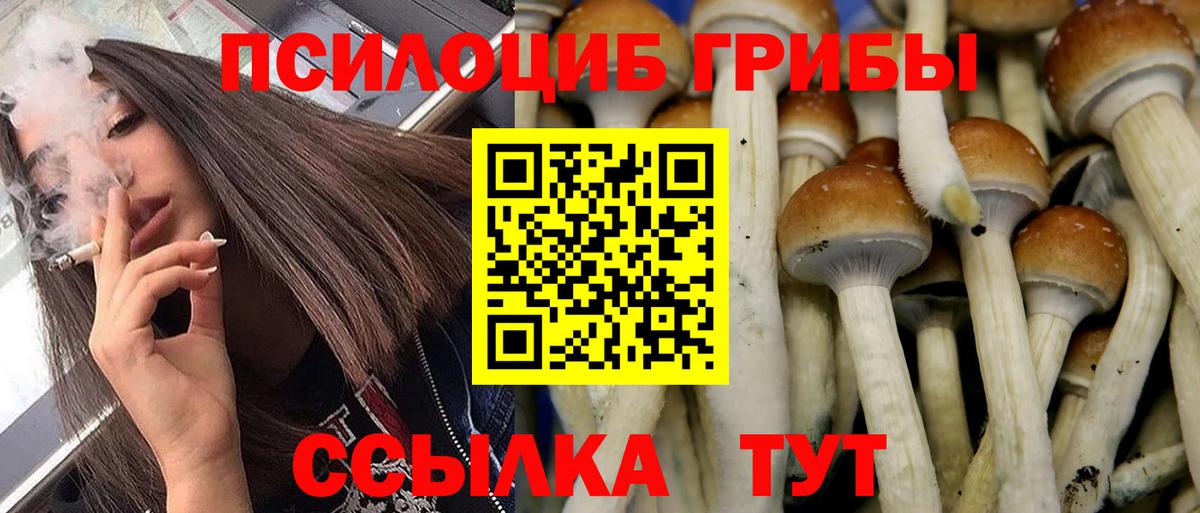 Псилоцибиновые грибы Cubensis  Псилоцибиновые грибы прущие грибы  сколько стоит  Улан-Удэ  Вход с VPN 